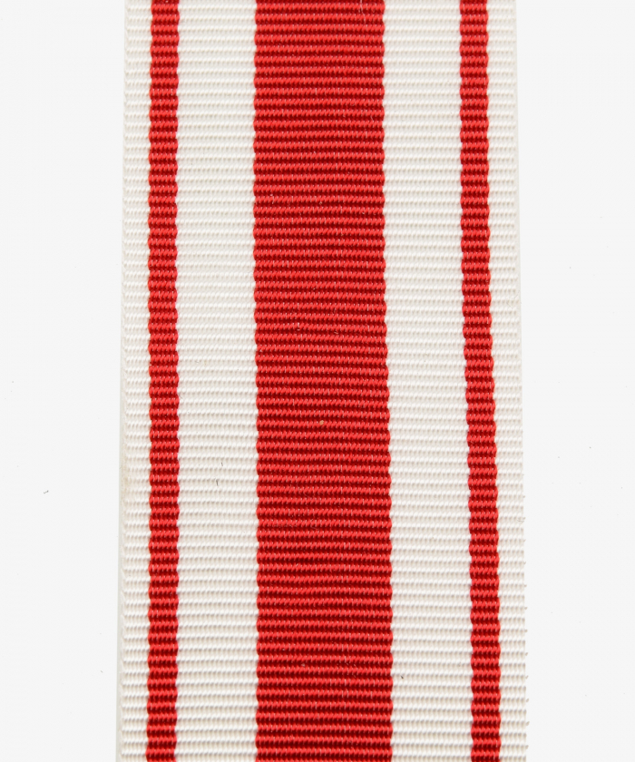 Feuerwehr-Ehrenabzeichen des Thüringer Feuerwehrverbandes 1920 (247)